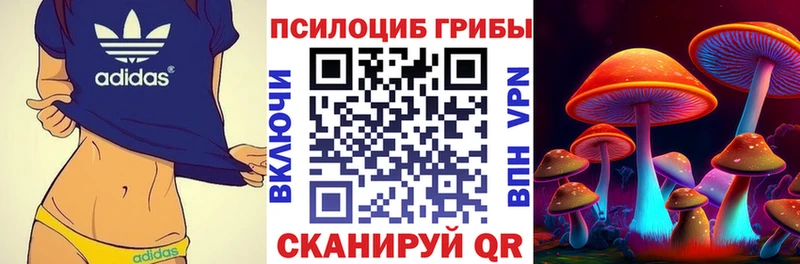 mega рабочий сайт  Лаишево  Галлюциногенные грибы MAGIC MUSHROOMS 